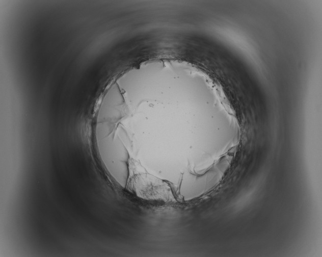 X0000100390146200806060840