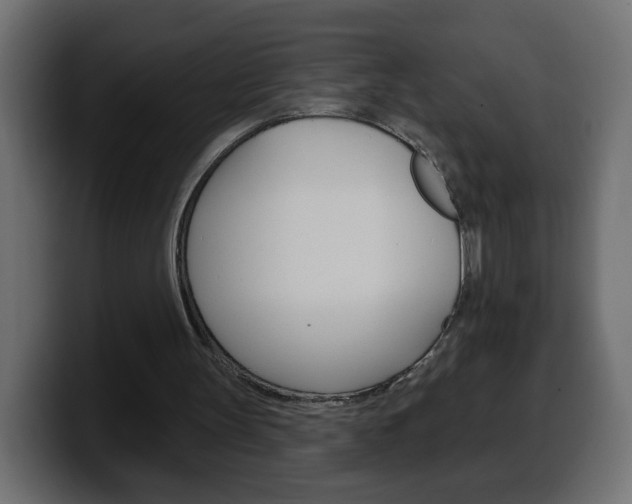 X0000100390147200806060840