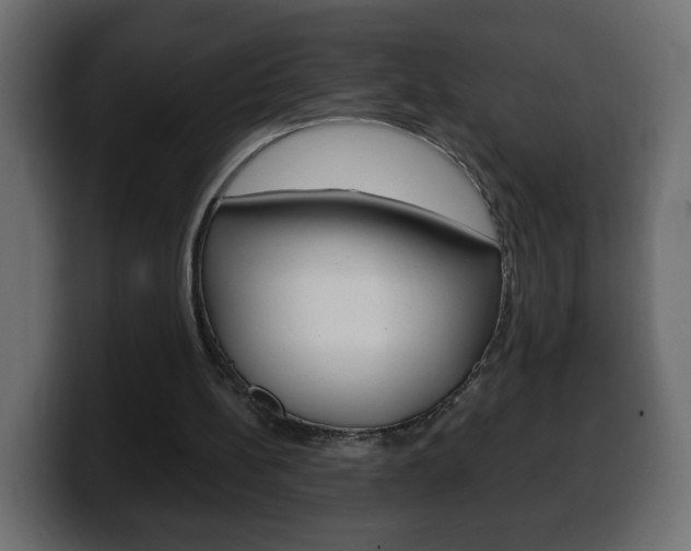 X0000100390148200806060841