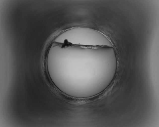 X0000100390149200806060841
