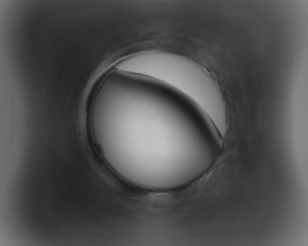 X0000100390150200806060841