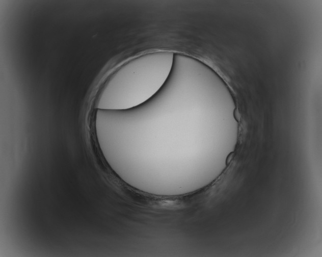X0000100390151200806060841