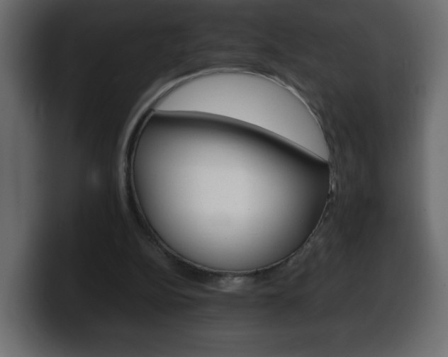 X0000100390152200806060841