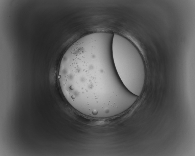 X0000100390153200806060841