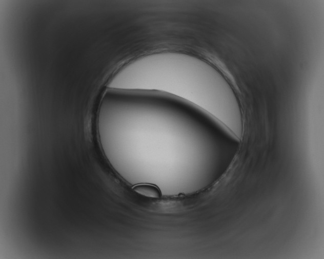 X0000100390154200806060841