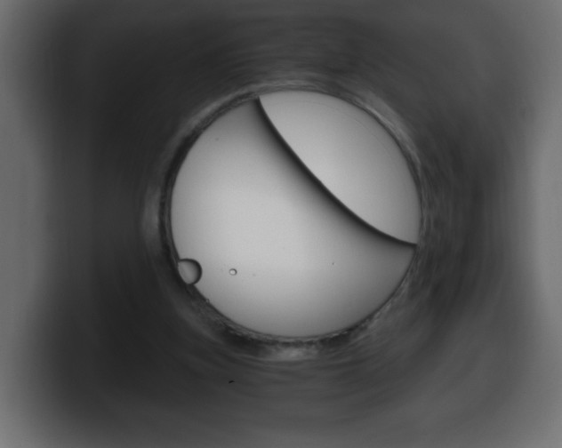 X0000100390155200806060841
