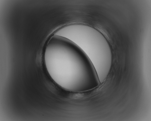 X0000100390156200806060841