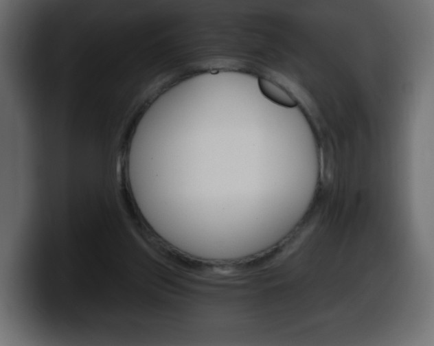 X0000100390157200806060841