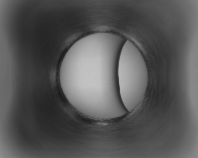 X0000100390159200806060841