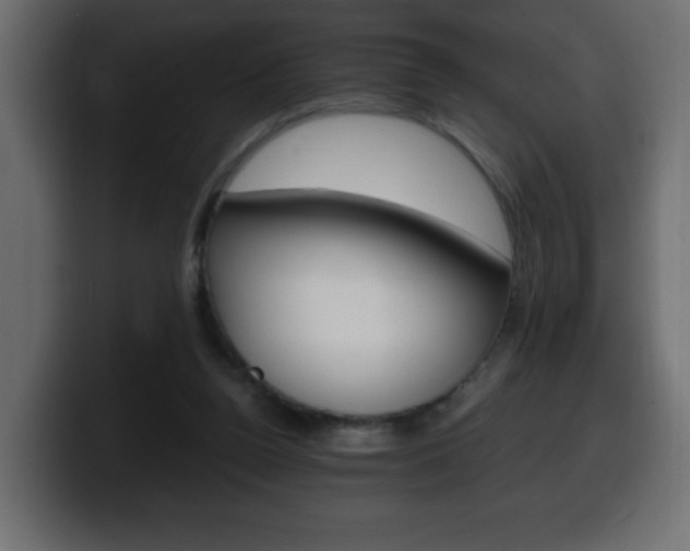 X0000100390160200806060841