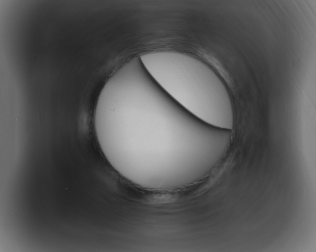 X0000100390161200806060841