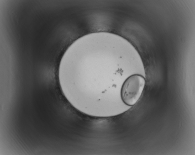 X0000100390162200806060841