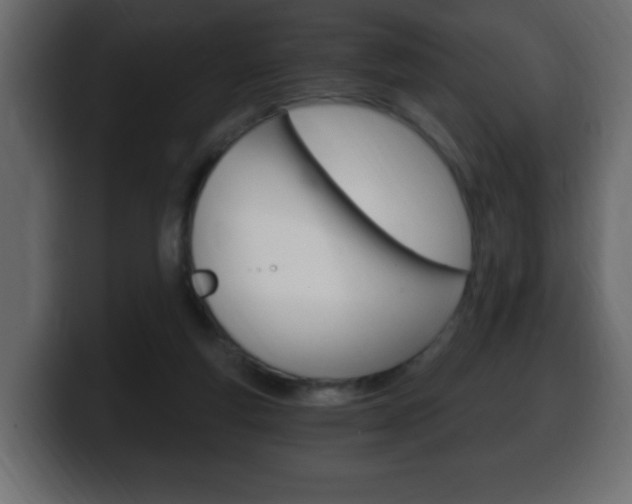X0000100390163200806060841