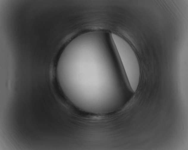 X0000100390164200806060841