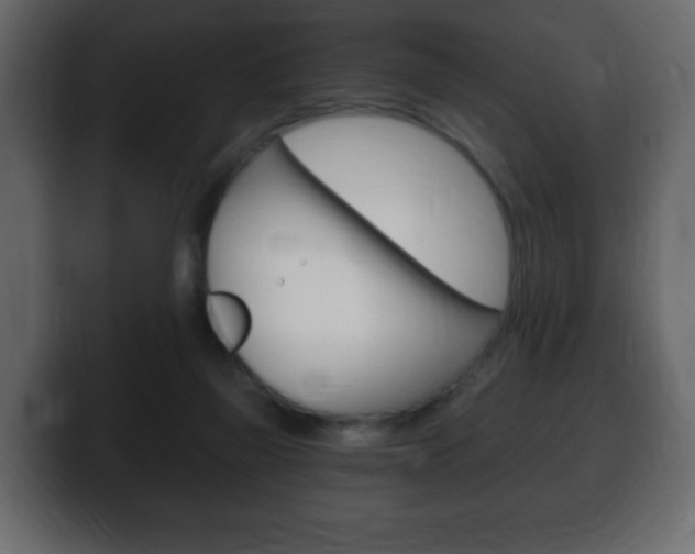 X0000100390165200806060841