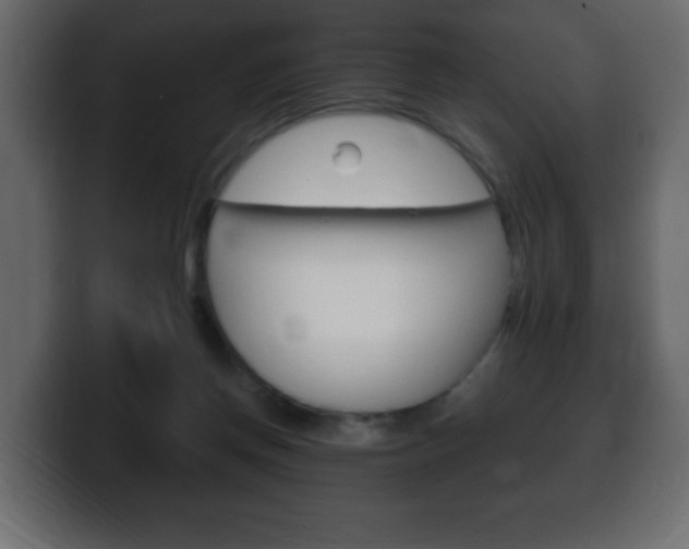 X0000100390166200806060841