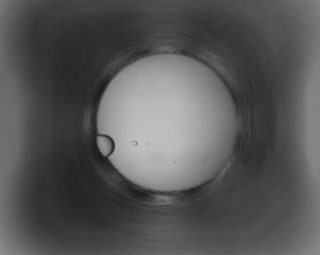X0000100390167200806060841