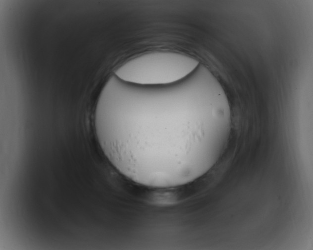 X0000100390169200806060841