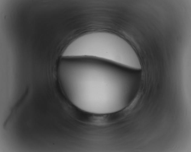 X0000100390170200806060841