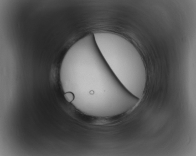 X0000100390171200806060841