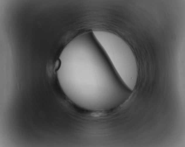 X0000100390172200806060841