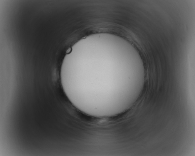 X0000100390173200806060841