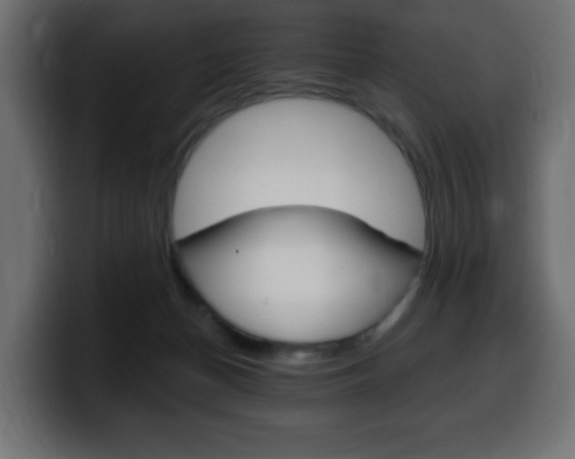 X0000100390174200806060841