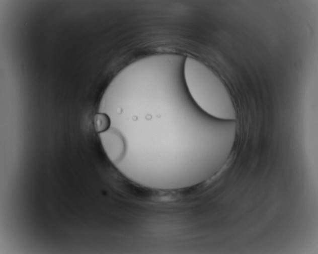 X0000100390175200806060841