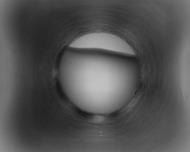 X0000100390176200806060841