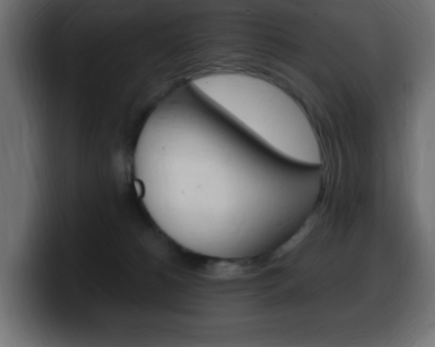 X0000100390180200806060841