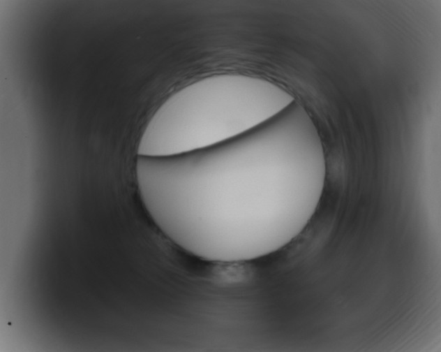 X0000100390181200806060841