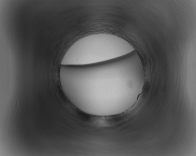 X0000100390182200806060841
