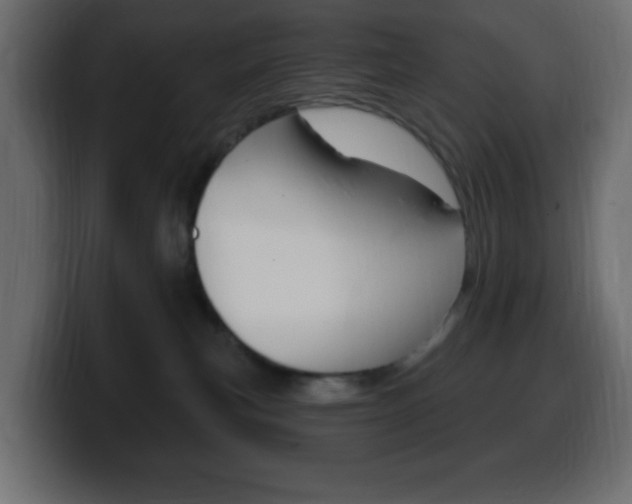 X0000100390183200806060841