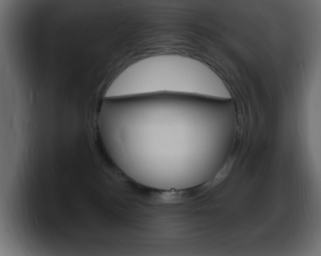 X0000100390184200806060841