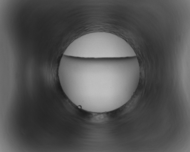 X0000100390185200806060841