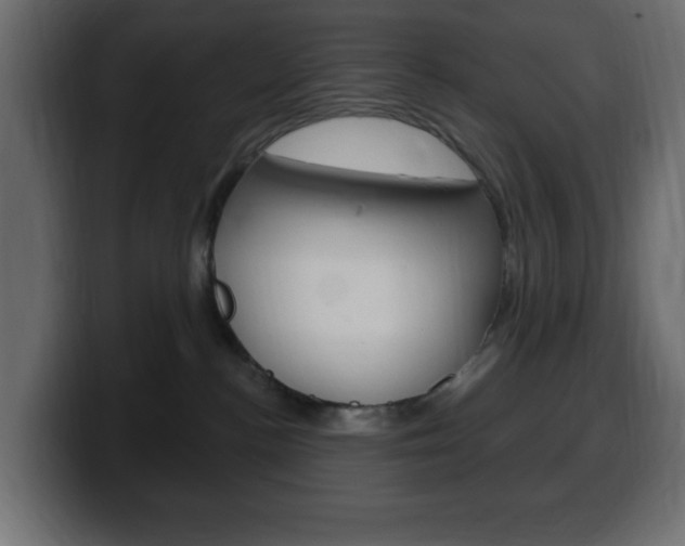 X0000100390188200806060841