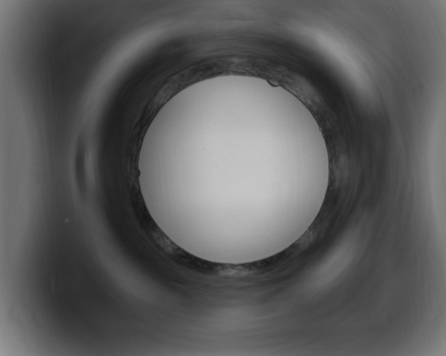 X0000100390189200806060841
