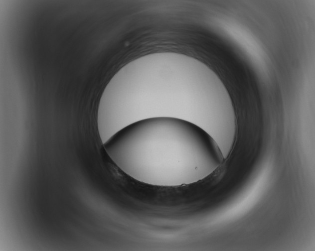 X0000100390190200806060841