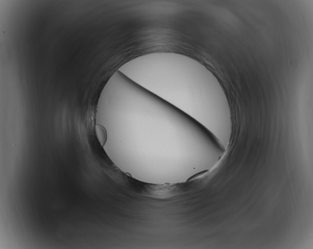X0000100390191200806060841