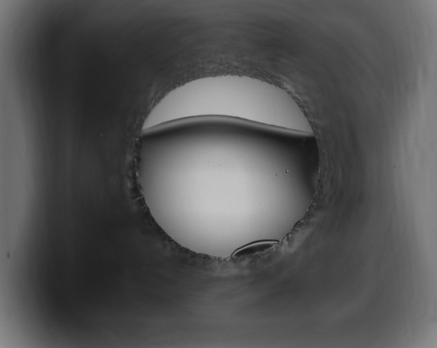 X0000100390192200806060841