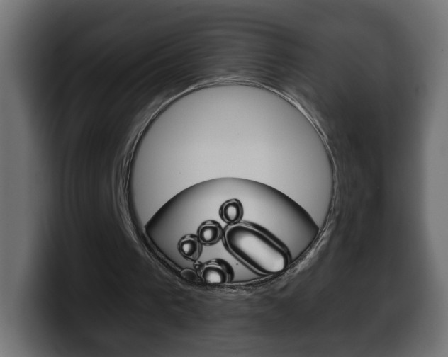 X0000100390193200806060840
