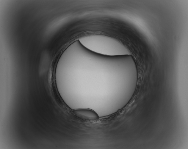 X0000100390194200806060840