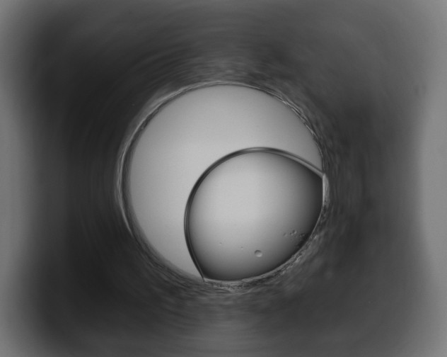 X0000100390195200806060840