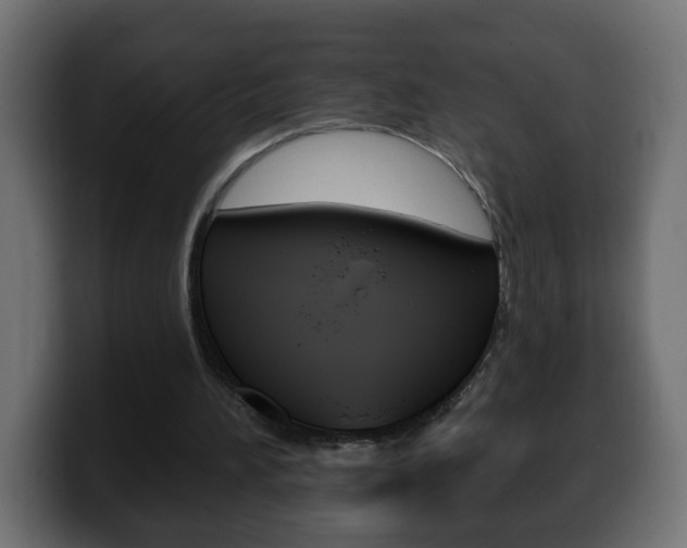 X0000100390196200806060840