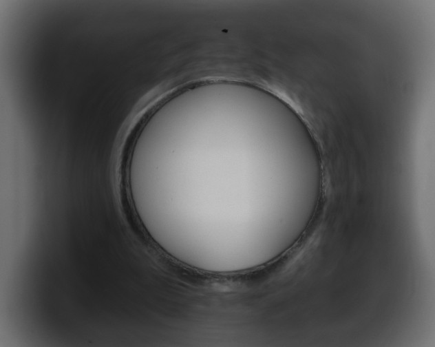 X0000100390199200806060840