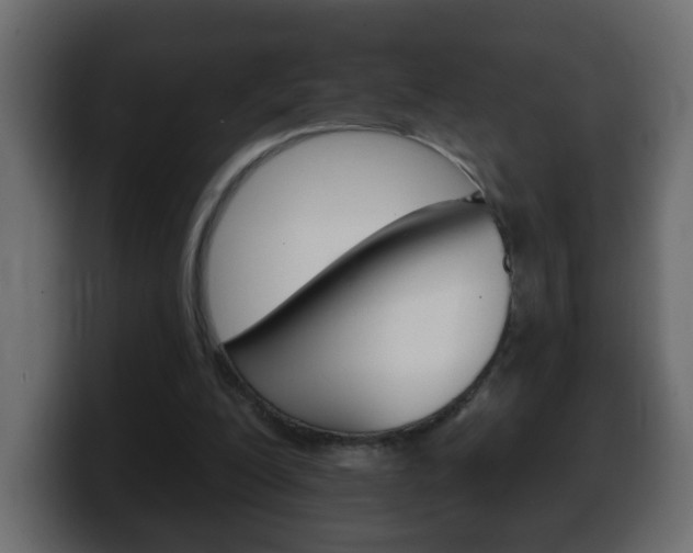 X0000100390200200806060840