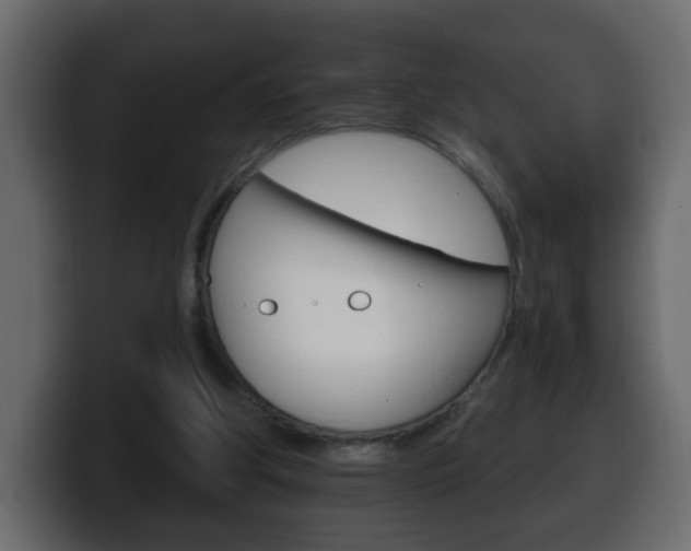 X0000100390202200806060840