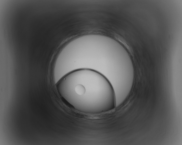 X0000100390203200806060840