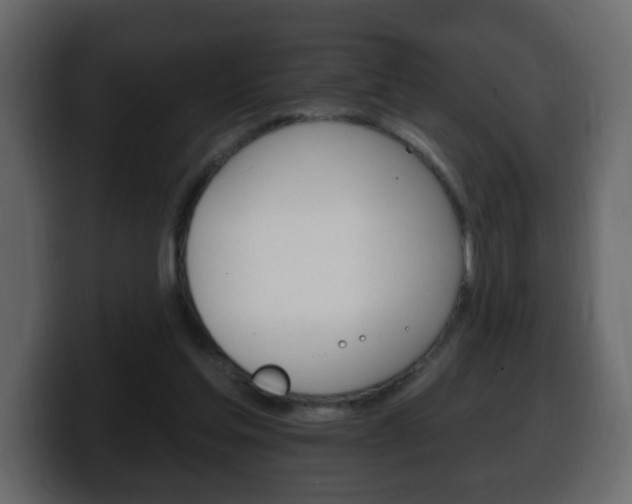 X0000100390205200806060840