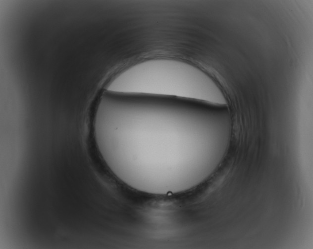 X0000100390208200806060840